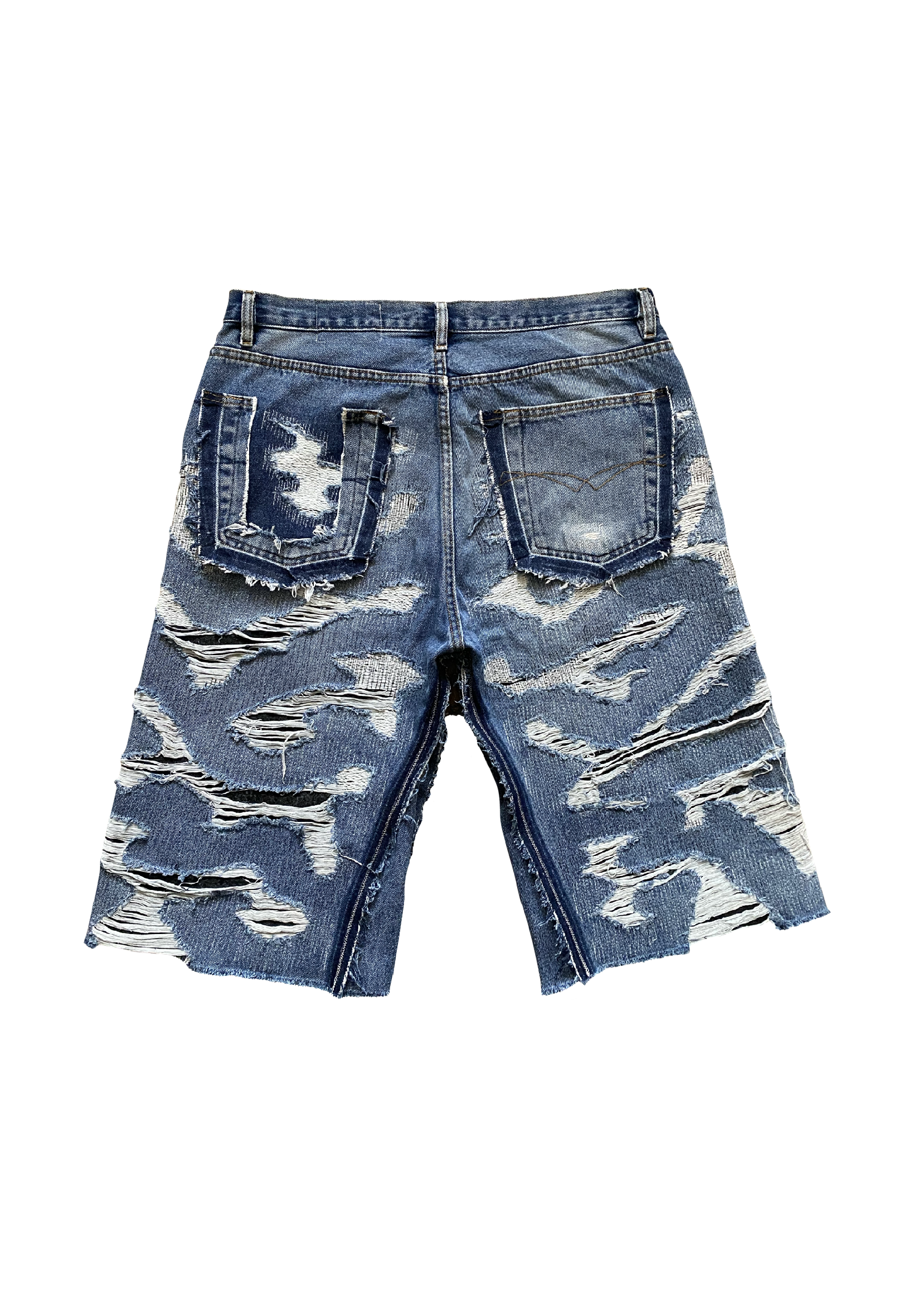Distressed jorts V2