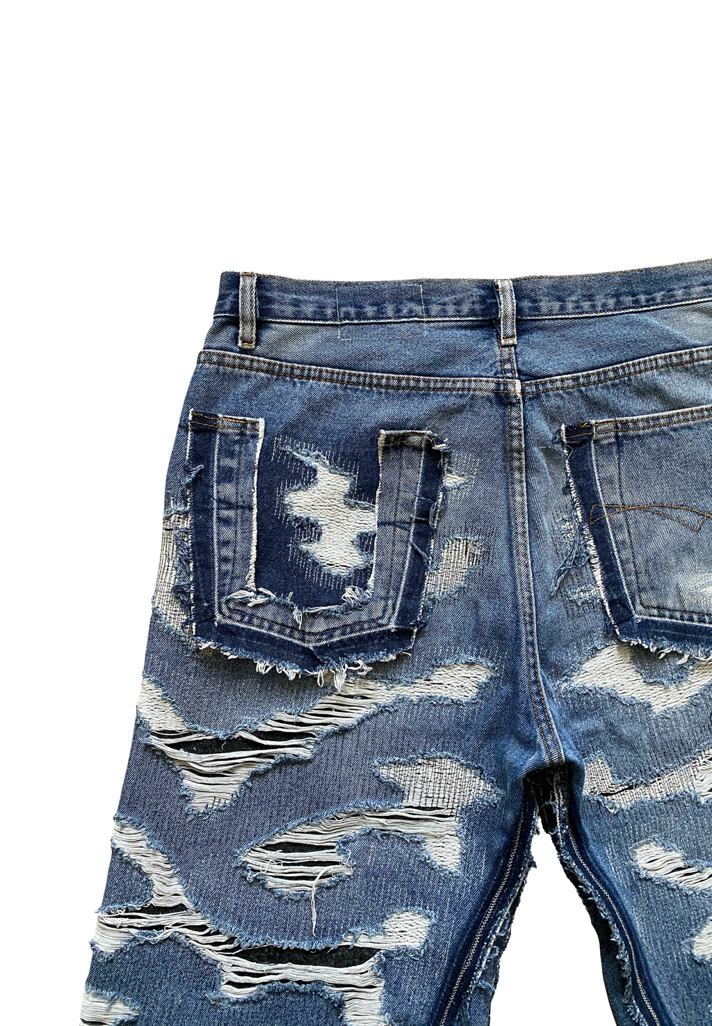 Distressed jorts V2