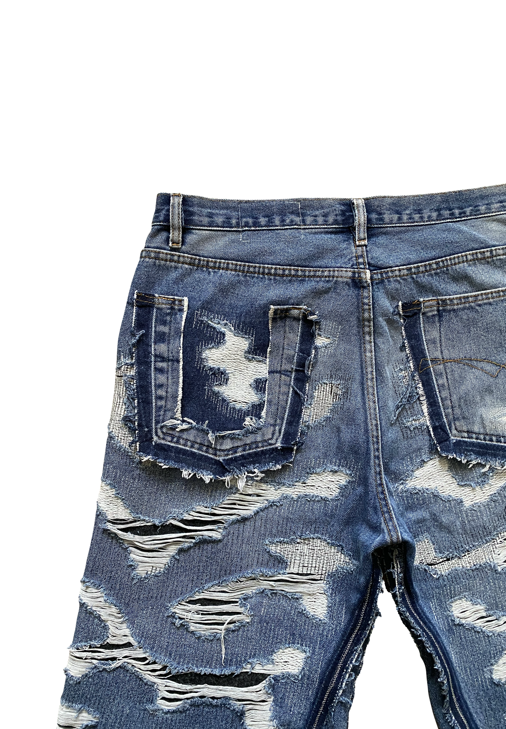 Distressed jorts V2